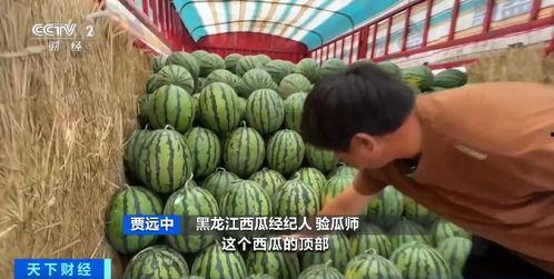 免费吃瓜的平台,畅享娱乐盛宴，轻松解锁精彩瞬间  第2张